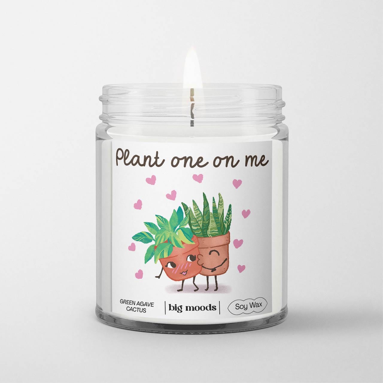 "Plant One On Me" Green Agave Cactus - 5oz Soy Candle