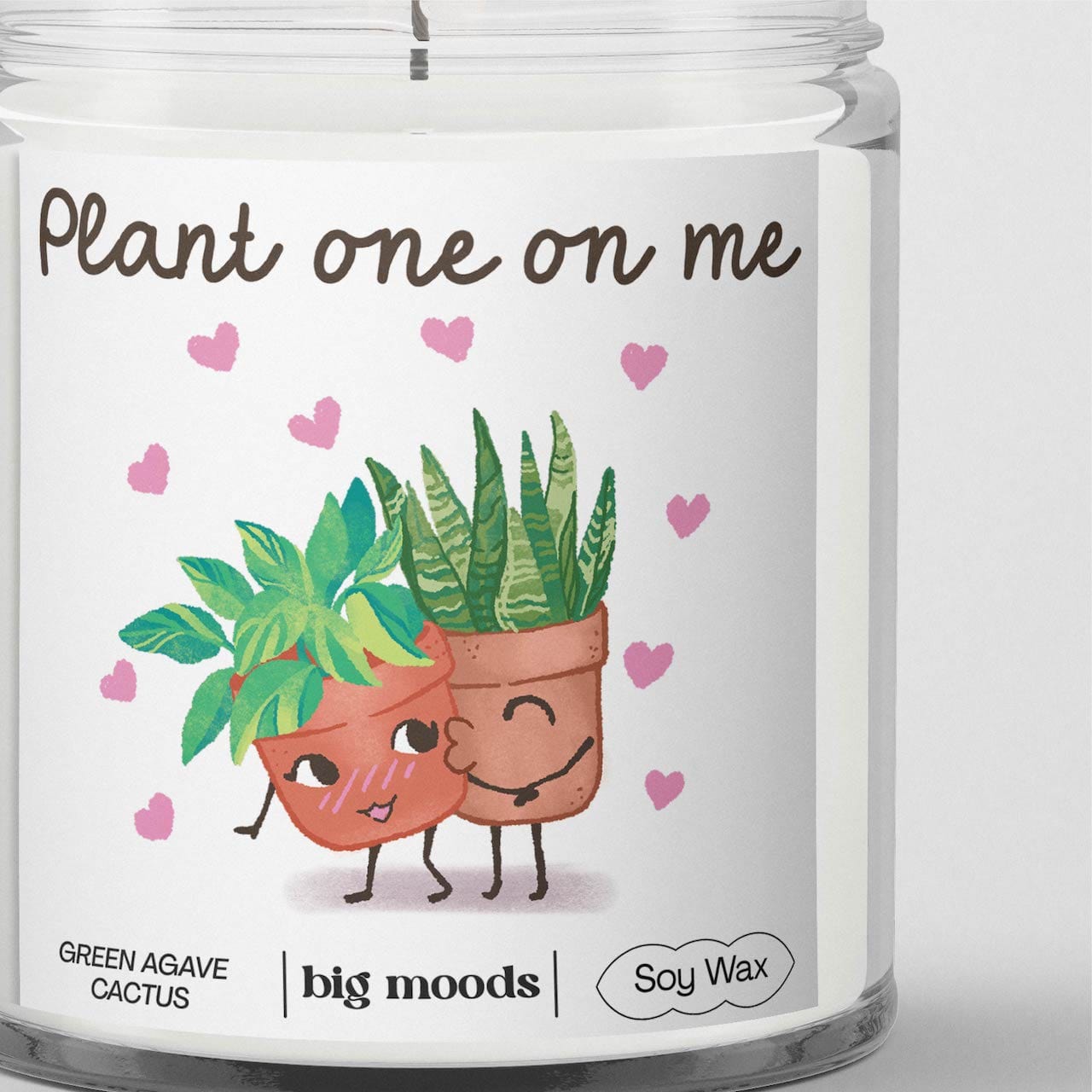 "Plant One On Me" Green Agave Cactus - 5oz Soy Candle