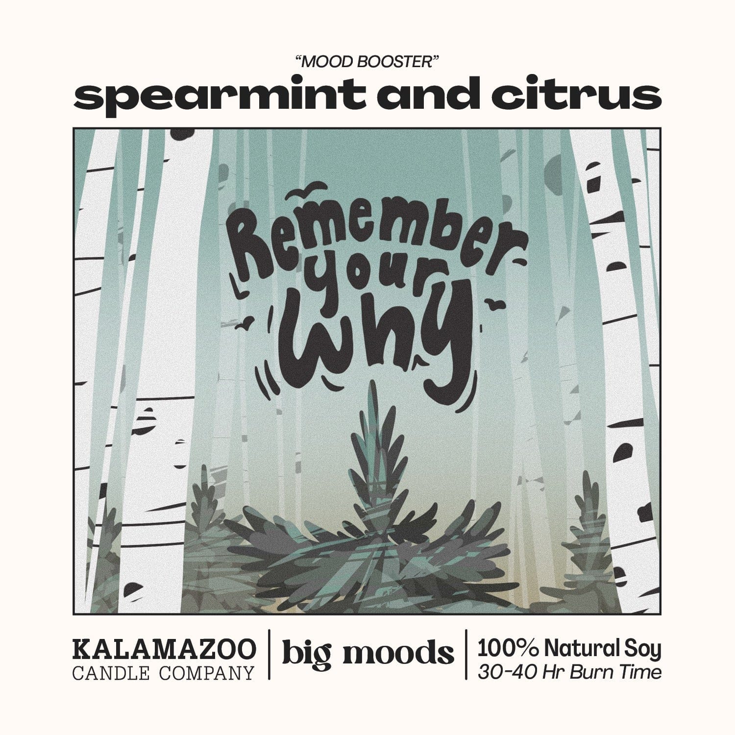 "Remember Your Why" Spearmint & Citrus - 5oz Soy Candle