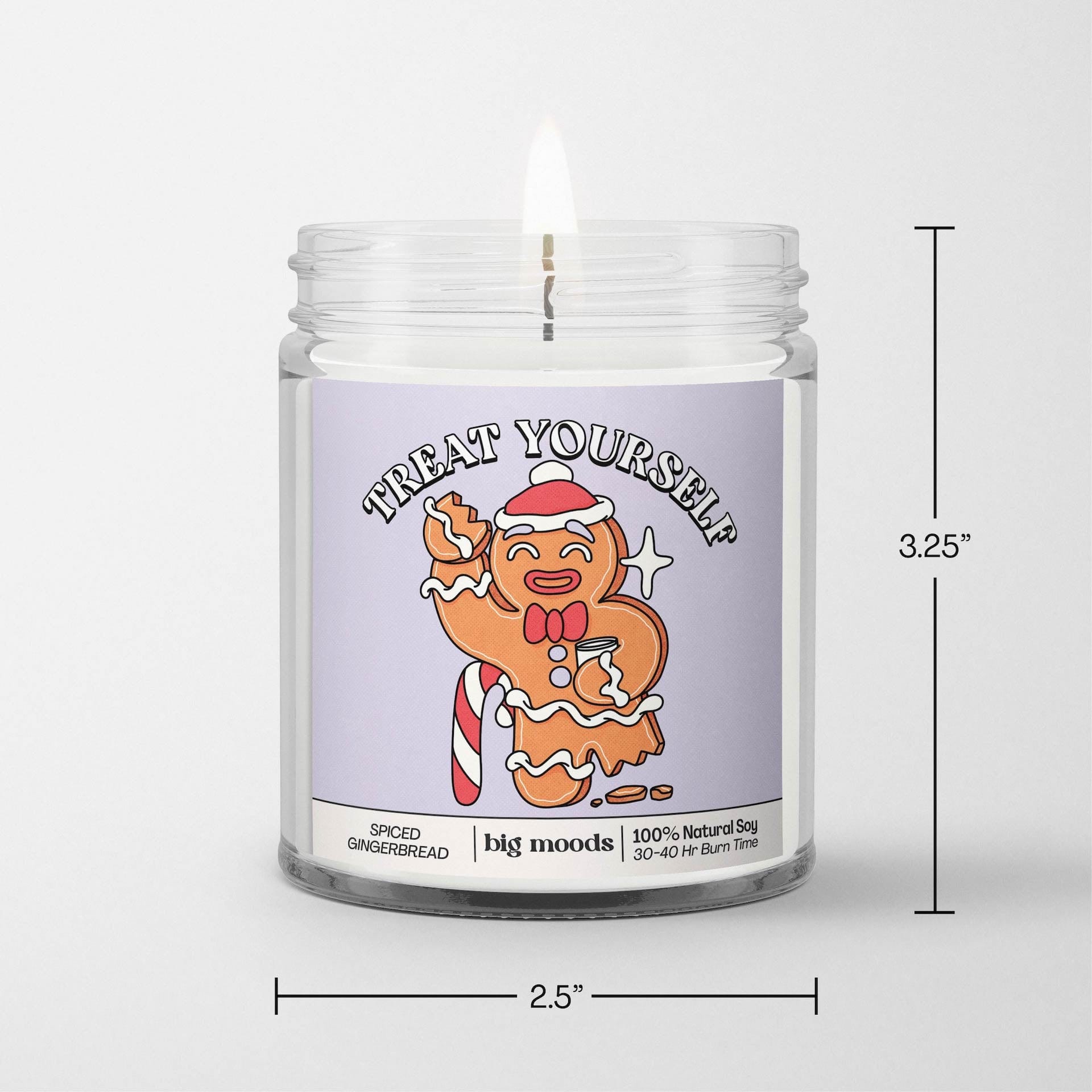"Treat Yourself" Spiced Gingerbread - 5oz Soy Candle