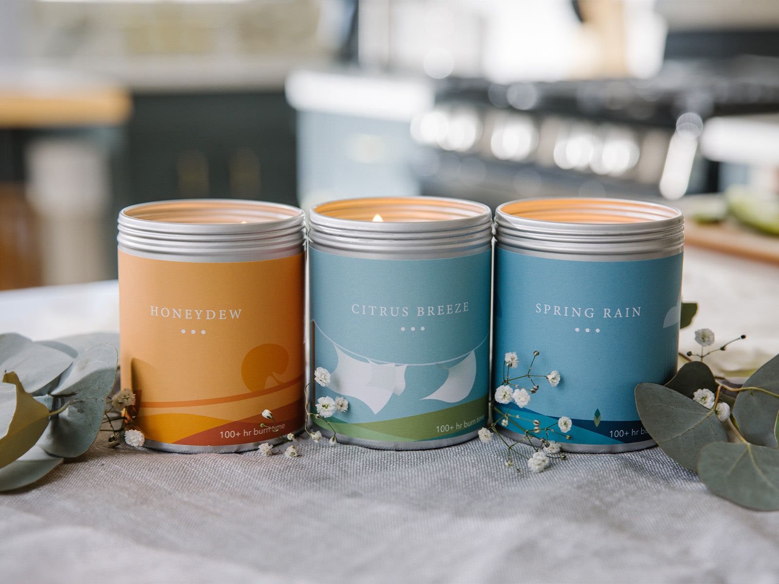 3 Large 2-Wick Candles in a bundle