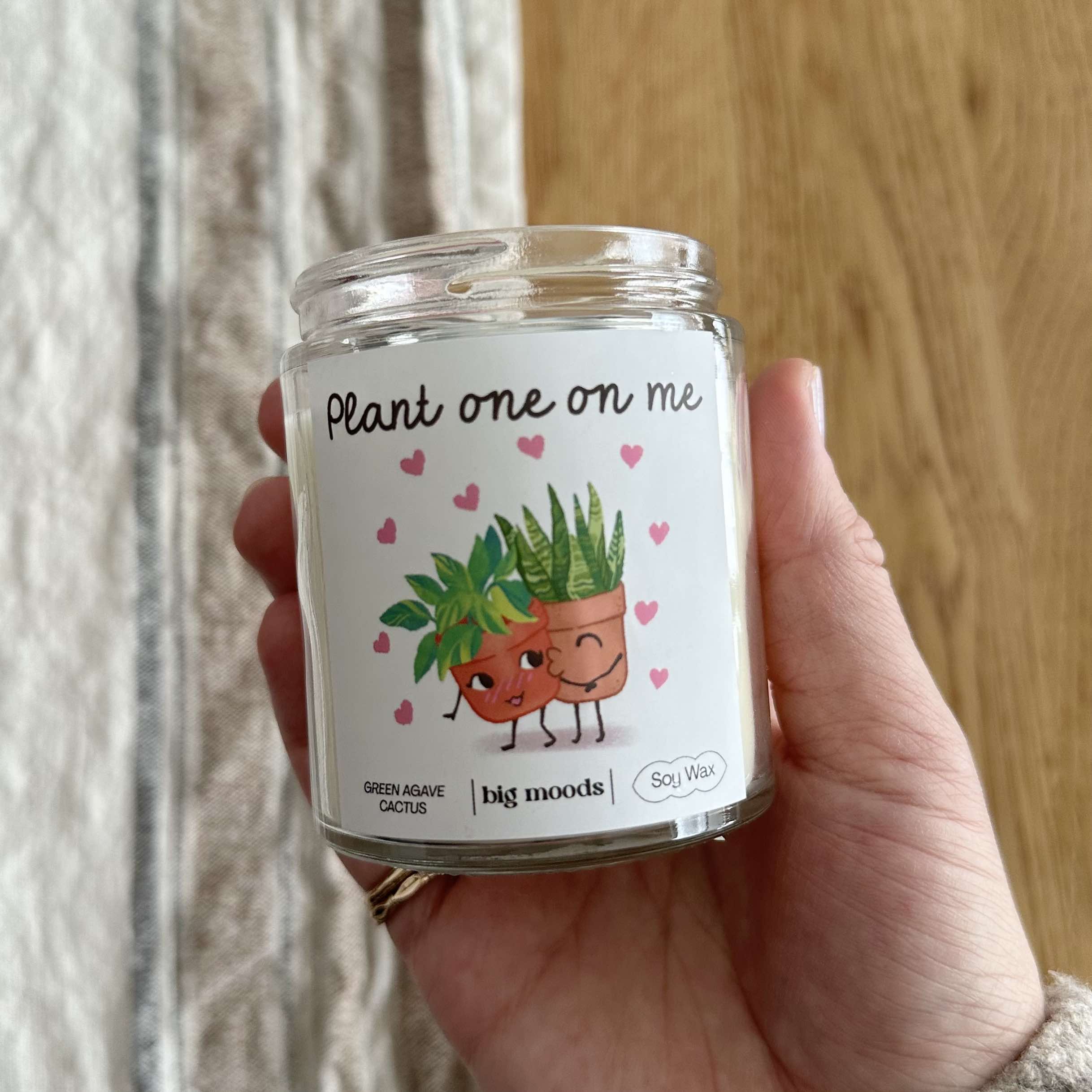 "Plant One On Me" Green Agave Cactus - 5oz Soy Candle