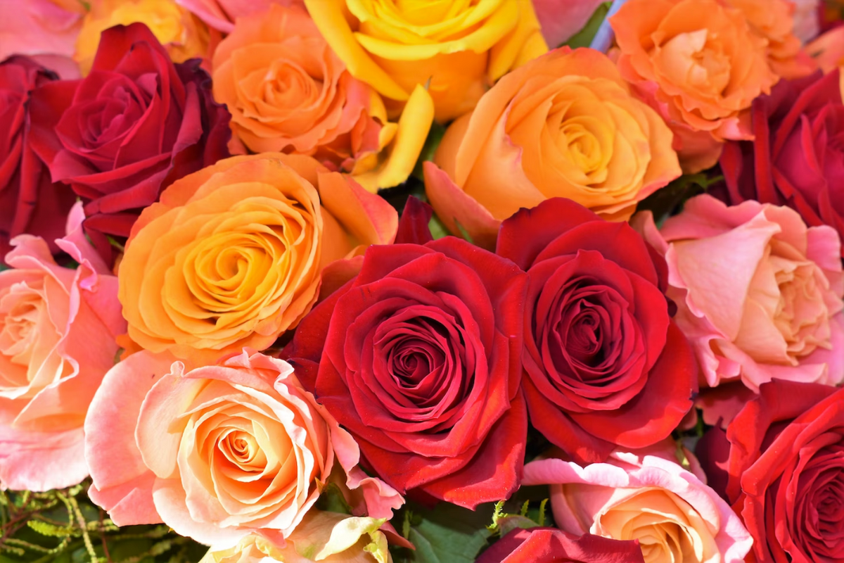 A bundle of flowers