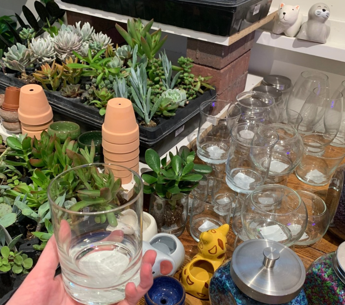 Pot a plant in a glass jar