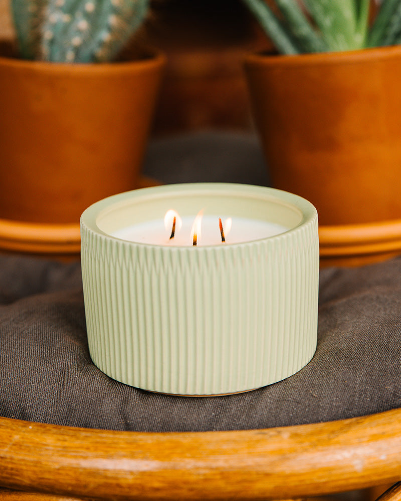 3-Wick Agave Cactus Candle