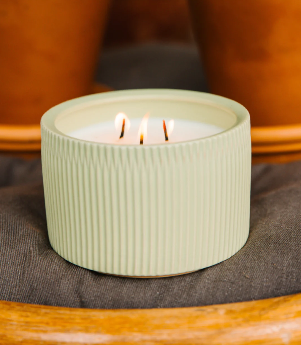 Agave Cactus 3-Wick Candle