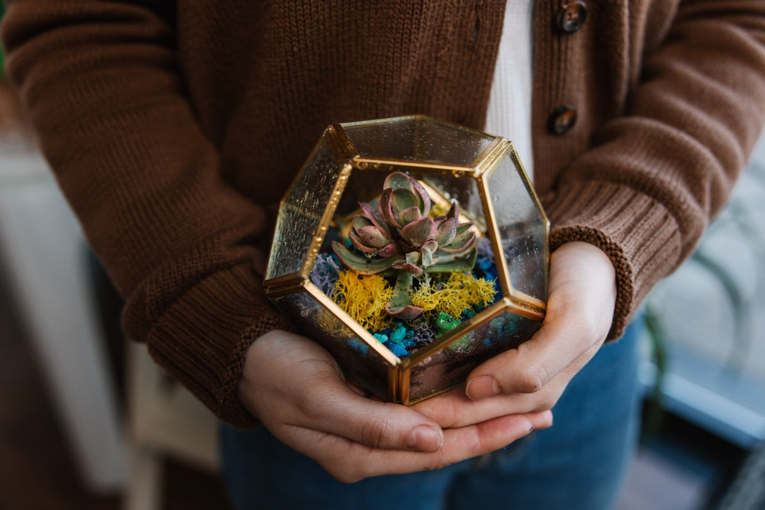 Close up shot of a person in a brown buttoned cardigan holding a glass hexagon shaped terrarium with succulents and foliage 