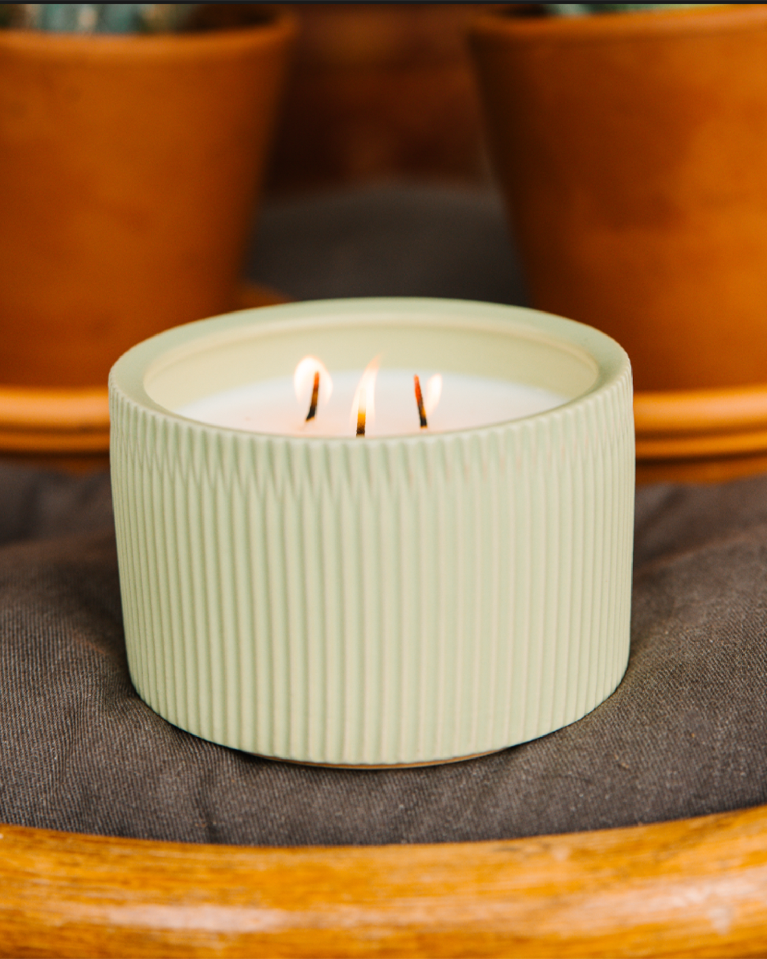 An image of a light green 3-Wick Ceramic candle scented like Agave Cactus.