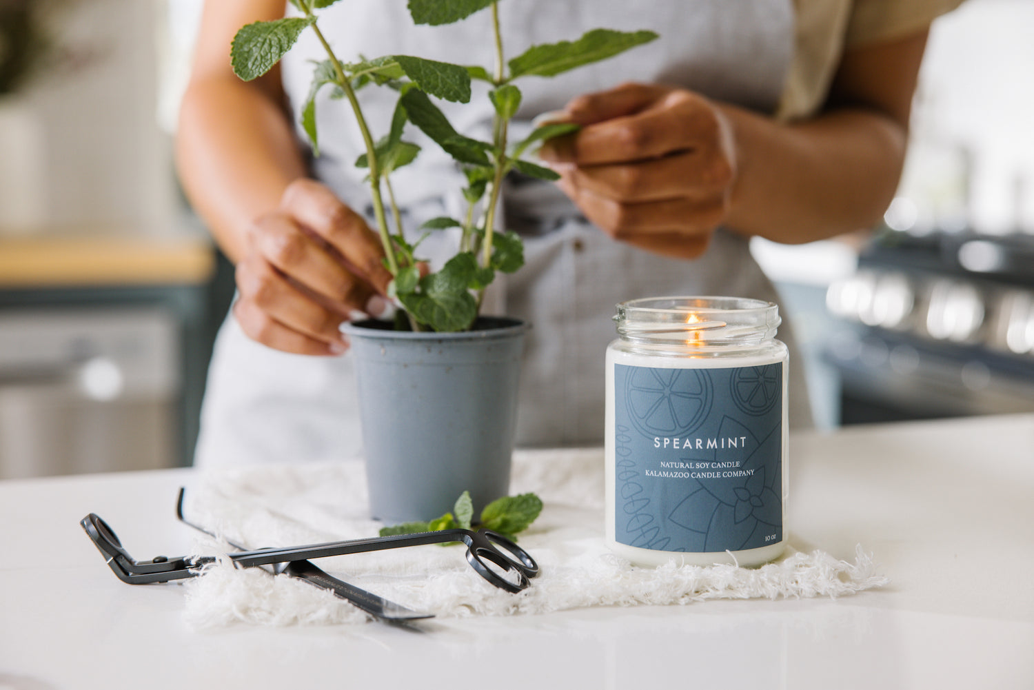 A Spearmint candle next to a plant of spearmint
