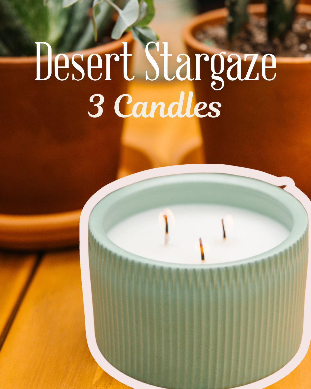 3 Desert Stargaze Bundle